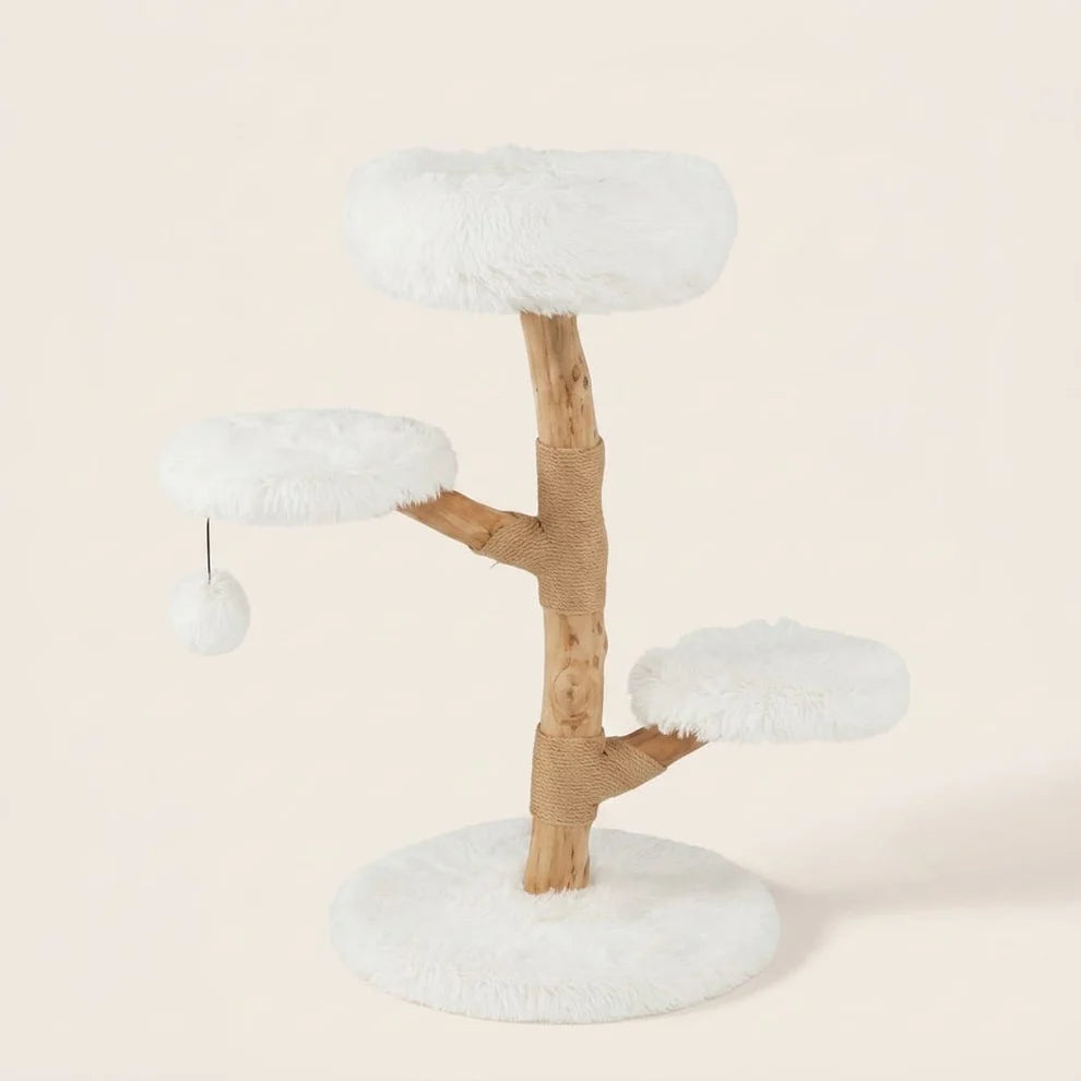 Arbre à chat Strand en bois flotté, hauteur 90 cm