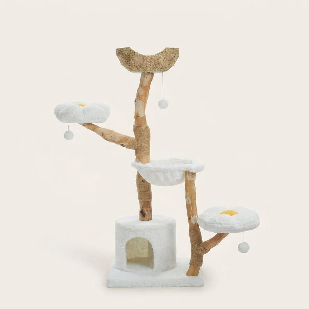 Grand arbre à chat Rot en bois flotté, hauteur 150 cm