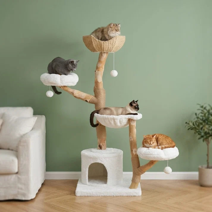 Grand arbre à chat Rot installé dans un salon lumineux aux tons naturels