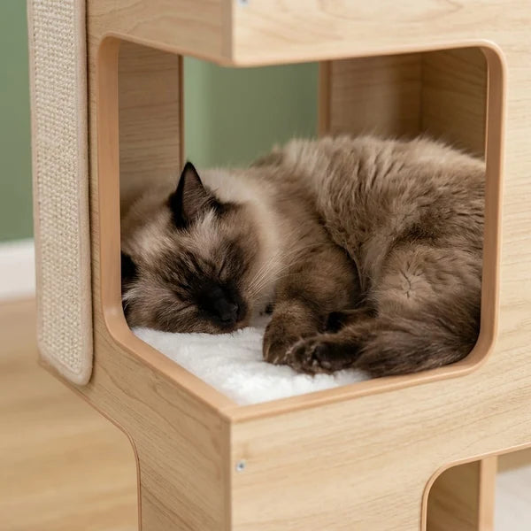 Zoom sur le griffoir intégré du meuble arbre à chat Ek