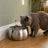 Fontaine à eau chat robinet inox — Ren