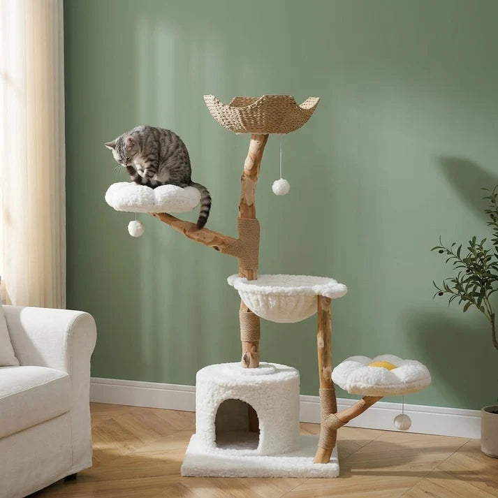 Arbre à chat Rot vu de trois quarts, condo fermé et hamac visibles