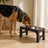 Support double gamelle réglable pour chien — Løft