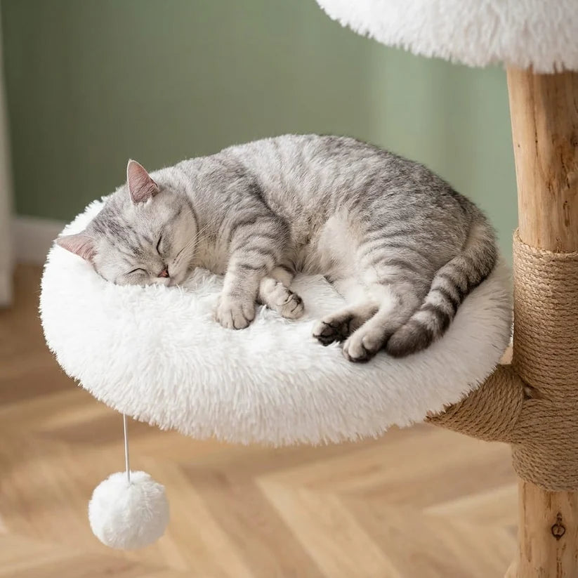 Chat installé sur une assise de l'arbre à chat Strand en bois flotté