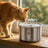 Fontaine à eau chat cascade inox — Regn