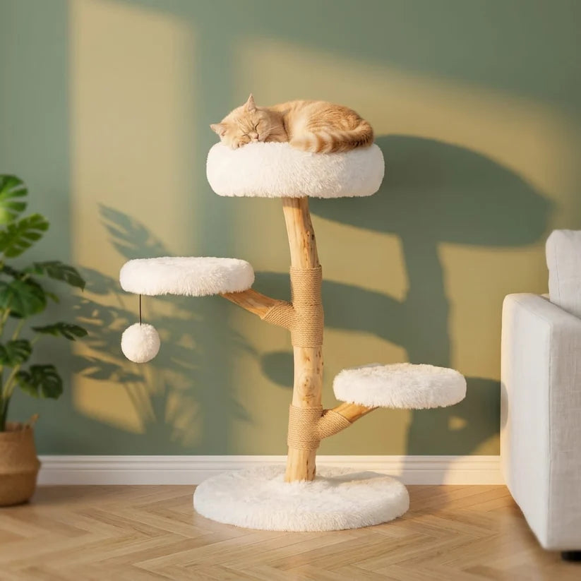 Détail du tronc en bois flotté de l'arbre à chat Strand