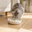 Gamelle anti-glouton en céramique Ro dans un coin repas pour chat