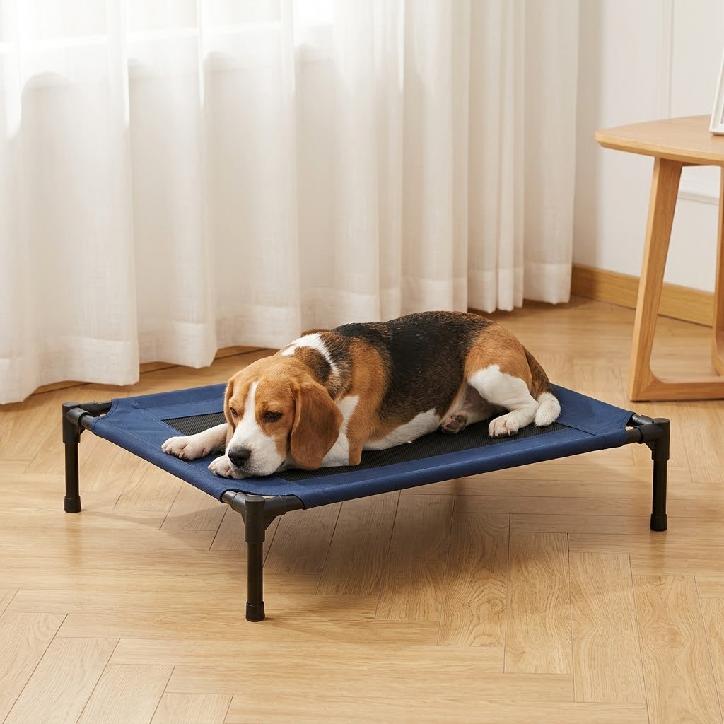Lit surélevé Bris — chien installé sur le couchage