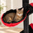 Arbre à chat gothique sol-plafond 245–300 cm — Mørk — image 3